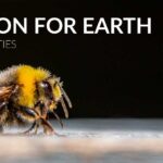 Action for Earth Day from Axxess Industries