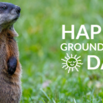 LED Lighting ideas for Groundhog Day